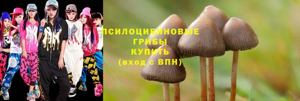 наркотики Богданович